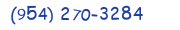 Contacts Phone number