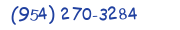 Contacts Phone number