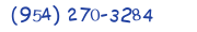 Contacts Phone number