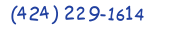 Contacts Phone number