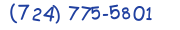 Contacts Phone number
