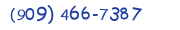 Contacts Phone number