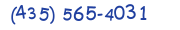 Contacts Phone number