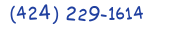 Contacts Phone number