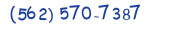 Contacts Phone number