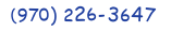 Contacts Phone number