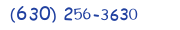 Contacts Phone number