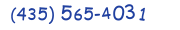 Contacts Phone number