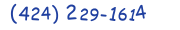 Contacts Phone number