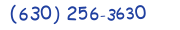 Contacts Phone number