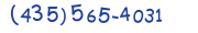 Contacts Phone number