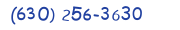 Contacts Phone number