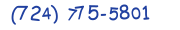 Contacts Phone number