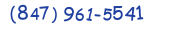 Contacts Phone number