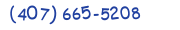 Contacts Phone number