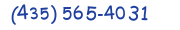 Contacts Phone number