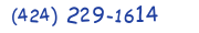 Contacts Phone number