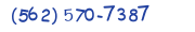 Contacts Phone number