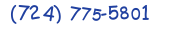 Contacts Phone number