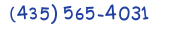 Contacts Phone number