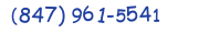 Contacts Phone number