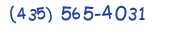 Contacts Phone number