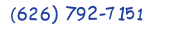 Contacts Phone number