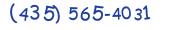 Contacts Phone number