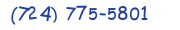 Contacts Phone number