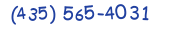 Contacts Phone number