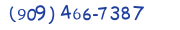 Contacts Phone number
