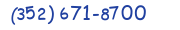 Contacts Phone number