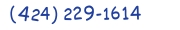 Contacts Phone number