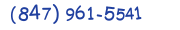 Contacts Phone number