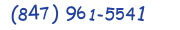 Contacts Phone number