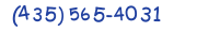 Contacts Phone number