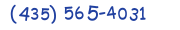 Contacts Phone number