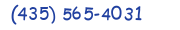 Contacts Phone number