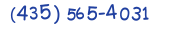 Contacts Phone number