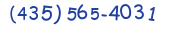 Contacts Phone number