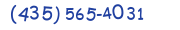 Contacts Phone number