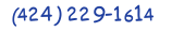 Contacts Phone number