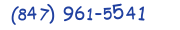 Contacts Phone number