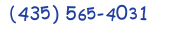 Contacts Phone number