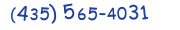 Contacts Phone number