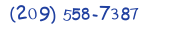 Contacts Phone number