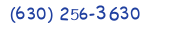 Contacts Phone number
