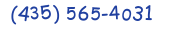 Contacts Phone number