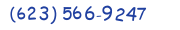 Contacts Phone number