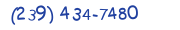 Contacts Phone number